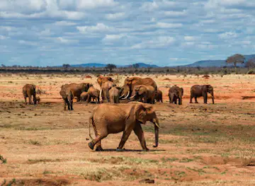 Tsavo East National Park