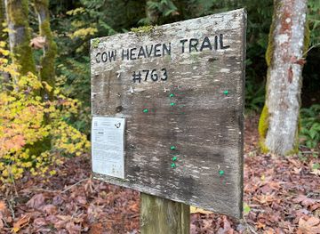 washington/northern-cascades/landmark/backus-marblemount-ranger-station-house-no-1010