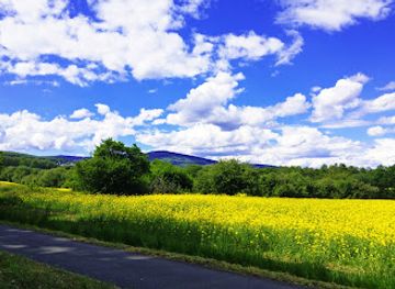 germany/taunus/landmark/altkonig-blick