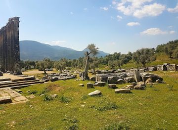 turkiye/aegean-region/landmark/euromos-ruins