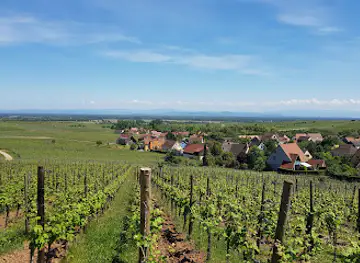 Route des Vins d'Alsace