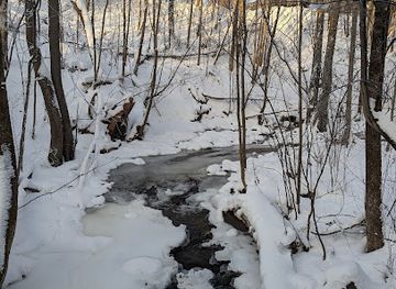 norway/oslo/frogner/landmark/frognerbekken-river-waterfalls