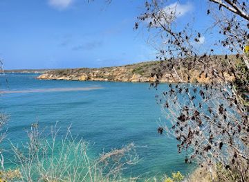 puerto-rico/guanica/landmark/playa-jaboncillo