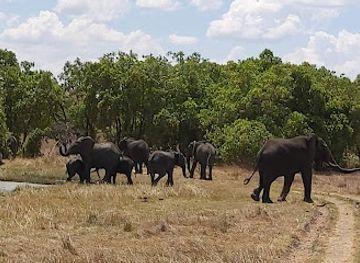malawi/majete-wildlife-reserve/landmark/kasungu-national-park