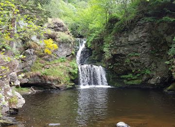 united-kingdom/morayshire/attraction/linn-falls-2
