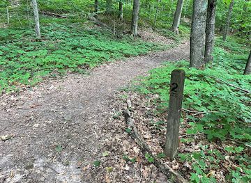 michigan/petoskey/landmark/bay-view-woods-hiking-trails