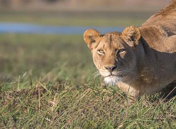 zambia/central-province/landmark/kafue-national-park