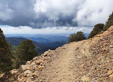 cyprus/troodos-national-forest-park/landmark/artemis-trail