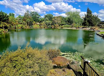 new-zealand/rotorua/landmark/kuirau-park