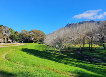 south-africa/cape-town/constantia/landmark/alphen-trail