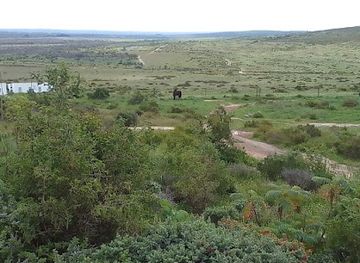 south-africa/bushveld/landmark/khwa-ttu-nature-reserve