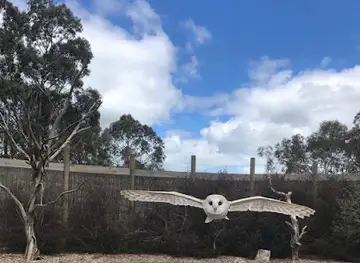Moonlit Sanctuary Wildlife Conservation Park