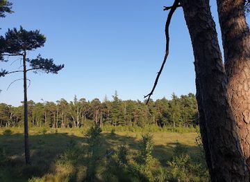 germany/teutoburg-forest/landmark/hiddeser-bent