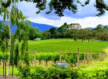 australia/yarra-valley/landmark/bulong-estate-winery
