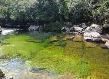 colombia/cano-cristales/landmark/cano-cristales-aventura-tours