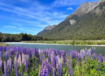 new-zealand/fiordland-national-park/landmark/walker-creek-doc-campsite