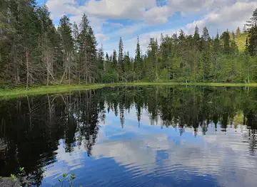Pyhä-Luosto Visitor and Culture Center Naava