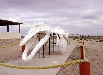 mexico/baja-california-peninsula/landmark/ojo-de-liebre-lagoon