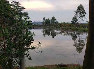 uganda/masaka/landmark/greenville-country-resort-beach