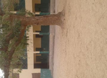 nigeria/maiduguri/landmark/wulari-1-primary-school-maiduguri
