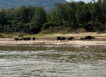 laos/golden-triangle/landmark/discoverlaos-today