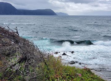 canada/gros-morne-national-park/landmark/lobster-cove-head-lighthouse