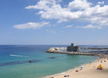 south-korea/gangneung-coastal-areas/landmark/anmok-beach