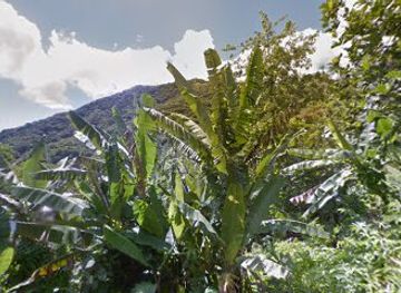 american-samoa/fagatogo/landmark/fagasa-american-samoa