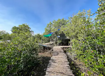 Mangrove Protected Forest