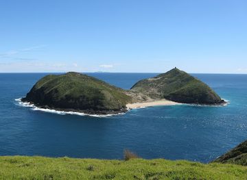 new-zealand/northland/landmark/motuopao-island