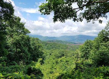 north-carolina/great-smoky-mountains/landmark/the-place-of-a-thousand-drips