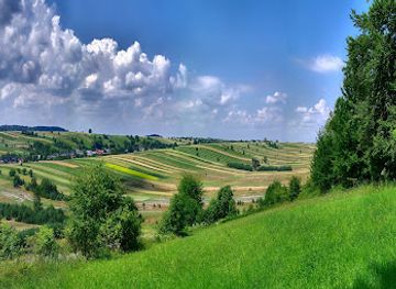 poland/roztocze/landmark/rezerwat-scisly-bukowa-gora-na-roztoczu