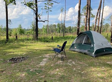 alabama/tuskegee-national-forest/landmark/tuskegee-national-forest-campsite-8