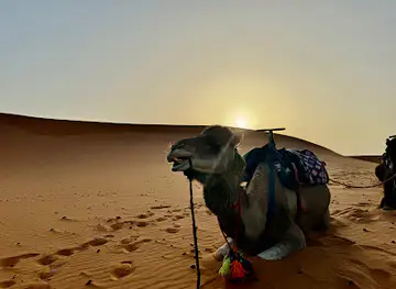 Merzouga