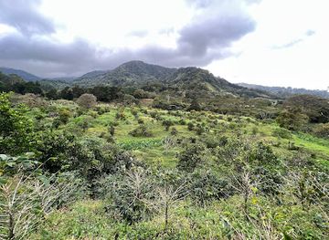 panama/boquete/landmark/buckle-tip-coffee-studio