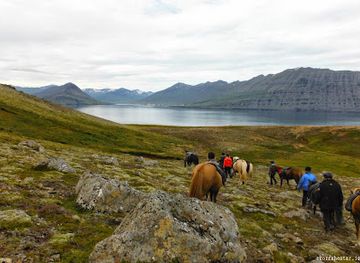 iceland/east-fjords/landmark/skorrahestar-icelandic-horse-rental-and-accommodation