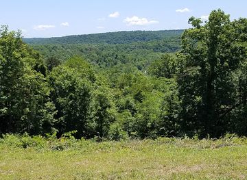 indiana/hoosier-national-forest/landmark/harrison-crawford-state-forest