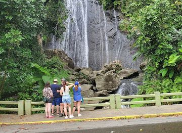 puerto-rico/manati/landmark/rock-out-cafe