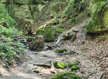 hungary/duna-ipoly-national-park/landmark/domini-forras