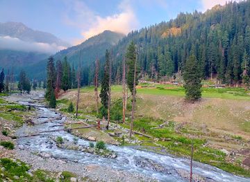 pakistan/swat/landmark/janshae-meadows