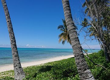 indonesia/pulau-derawan/landmark/manimbora-beach
