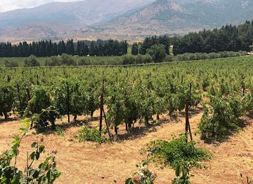 lebanon/bekaa-valley/landmark/chateau-kefraya-winery