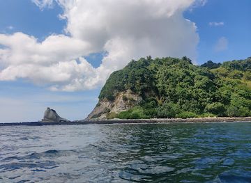 india/andaman-and-nicobar-islands/landmark/interview-island