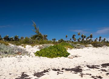 turks-and-caicos-islands/north-caicos/landmark/long-bay-beach