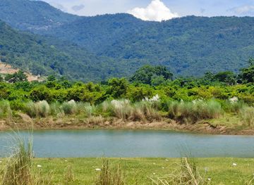 bangladesh/ratargul-swamp-forest/landmark/bholaganj-sada-pathor-sylhet