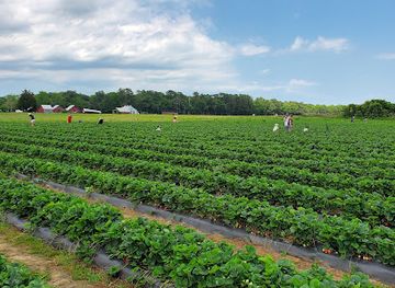 virginia/virginia-beach/landmark/flanagan-farms