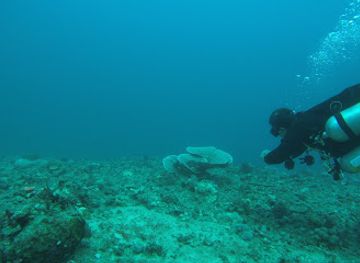israel/red-sea-coral-reef/landmark/mosh-beach