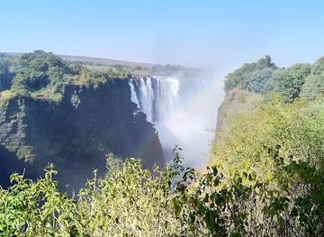 zambia/victoria-falls/landmark/walk-with-lions-victoria-falls