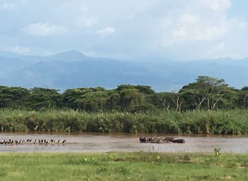 burundi/bugesera/landmark/rusizi-national-park