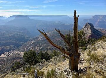 arizona/kaibab-national-forest/landmark/bill-hall-trailhead